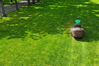 Yard Maintenance